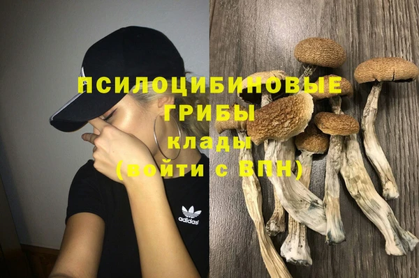 apvp Богданович
