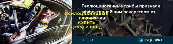 apvp Богданович