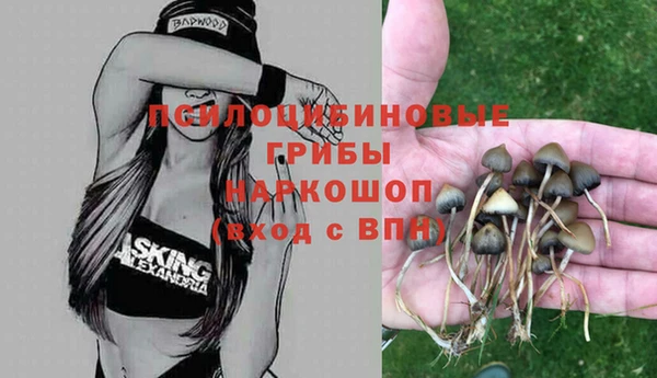 apvp Богданович
