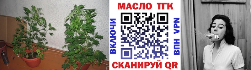 ТГК вейп  Купить закладки  Печоры 