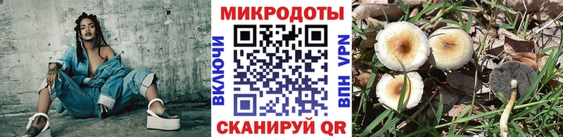 Купить где  Печоры  Псилоцибиновые грибы мицелий 